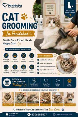 Cat Grooming In Faridabad