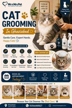 Cat Grooming In Ghaziabad