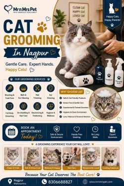 Cat Grooming In Nagpur