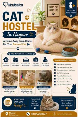 Cat Hostel In Nagpur