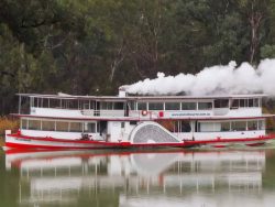 Experience the Best Echuca Moama Paddle Steamer Cruise on the Murray River