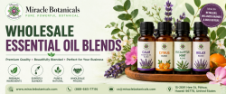 Wholesale Essential Oil Blends for Retail & Bulk Buyers