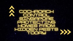 Cockroach Control Singapore Protecting Homes From Hidden Pests Today
