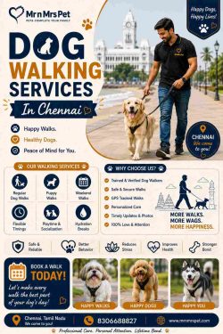 Dog Walking Services in Chennai