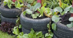 Tyre Recycling Machine in Australia