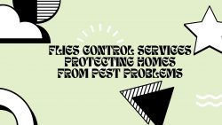 Flies Control Services Protecting Homes From Pest Problems