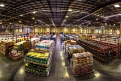 SFA Licensing Services by Assure Consulting – Trusted Food License Experts