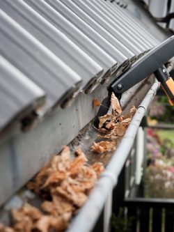 Gutter cleaning in Toowoomba