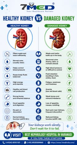 Healthy Kidney vs Damaged Kidney Signs You Should Never Ignore