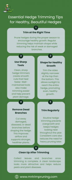 Creating Cleaner, Healthier, and Greener Outdoor Spaces