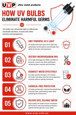 How UV Bulbs Eliminate Harmful Germs