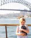 Buy a Teddy Bear Online in Australia
