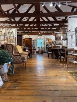 The Charm of Thrifting