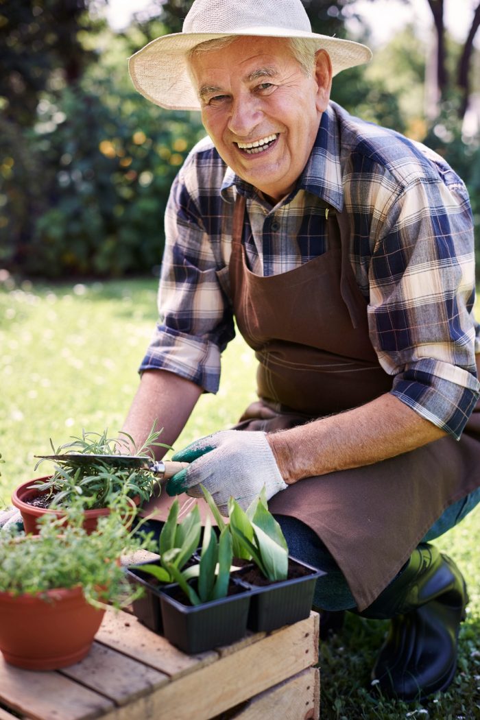 NDIS Gladfield | Trusted Disability Support Services