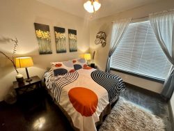 Discover Stylish Lofts in San Antonio Texas