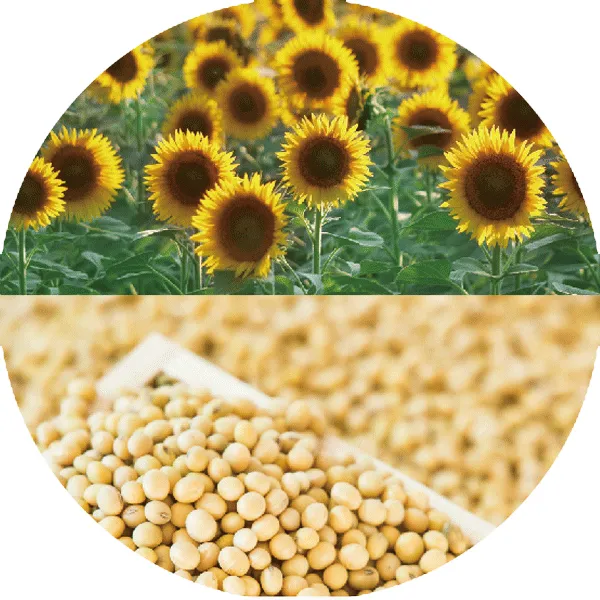 Functional Food Ingredients Manufacturer