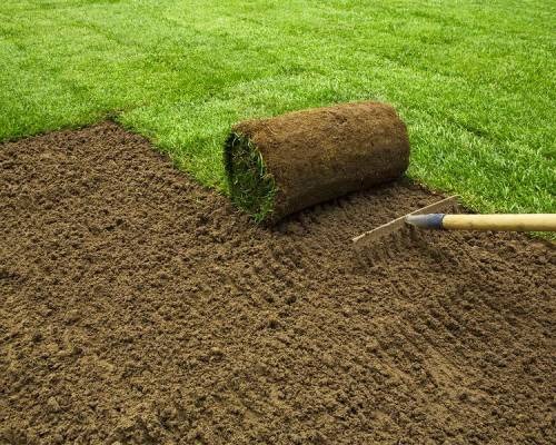 Professional Landscaping Chatswood for Beautiful Outdoor Spaces
