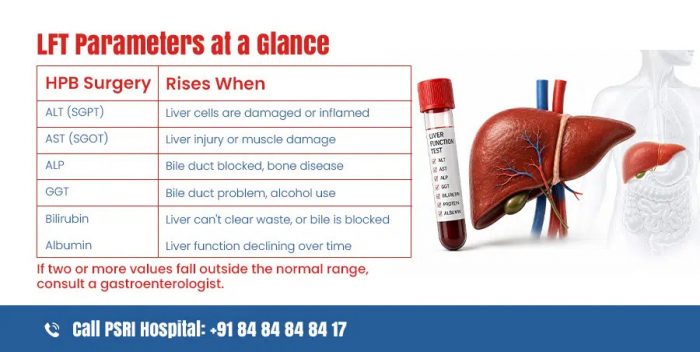 Understand Your LFT Report: Key Liver Function Test Parameters