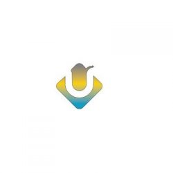 Custom Website Design Christchurch for unique, scalable, high-performance business websites