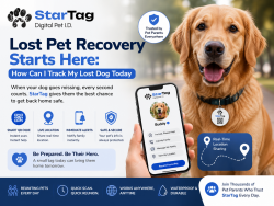 Lost Pet Recovery Starts Here: How Can I Track My Lost Dog Today
