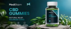 Official@-https://www.facebook.com/MediaBloomCBDGummies/