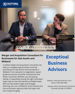 Merger and Acquisition Consultant for Strategic Business Growth