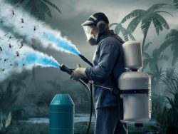 Expert Mosquitoes Control Singapore for a Safer Home