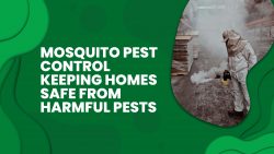 Mosquito Pest Control Keeping Homes Safe From Harmful Pests