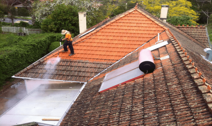 Professional Roof Cleaning Services for a Cleaner, Longer-Lasting Roof