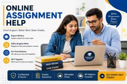 Expert Entrepreneurship Portfolio Assignment Help for Students