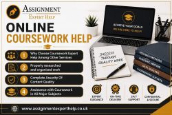 Professional Marketing Coursework Help for Student Success