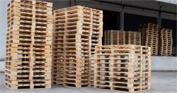 Wooden Pallet Types: Which One Fits You?