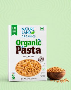 Organic Pasta Macaroni | Healthy Organic Snacks