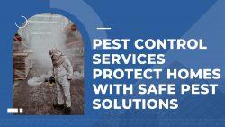 Pest Control Services Protect Homes with Safe Pest Solutions