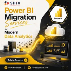 Advanced Power BI Consulting Services by Shiv Technolabs