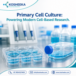 Primary Cell Culture: Powering Modern Cell-Based Research