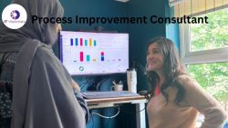 Expert Process Improvement Consultant for Streamlined Operations