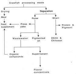 Fiber Science Services for Chitosan Applications