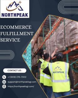 Professional Ecommerce Fulfillment Service
