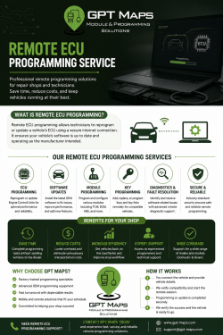 Professional Remote ECU Programming Service