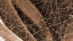 Fiber Consulting Services for Better Product Performance