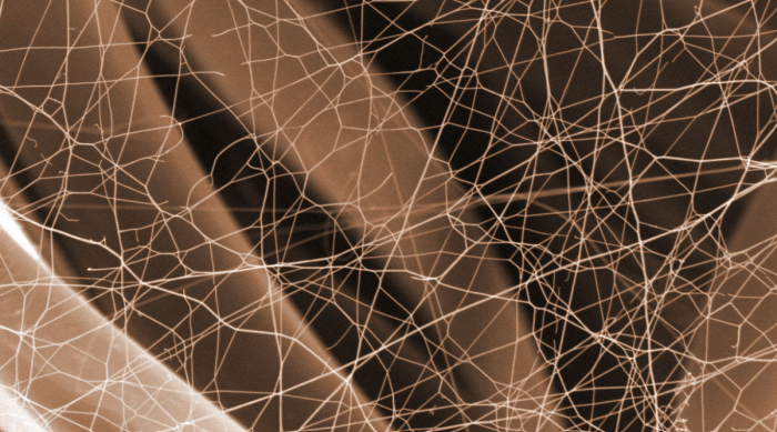 Fiber Consulting Services for Better Product Performance