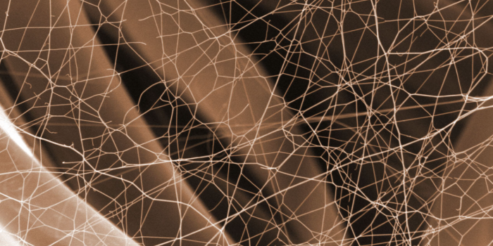 Smarter Growth Starts with Textile Consulting
