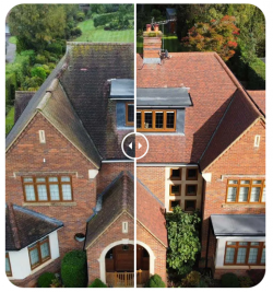Don’t Let Moss Decide When It’s Time for a New Roof