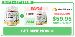 Origins Hemp Gummies Canada – Discover Daily Balance