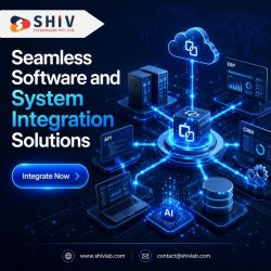 Custom Software Development Solutions by Shiv Technolabs