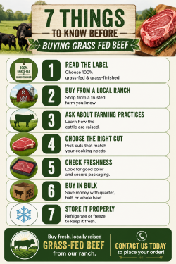 7 Things to Know Before Buying Grass Fed Beef
