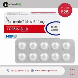 Exploring Torsinir 10: Product Highlights, Features, and Useful Information