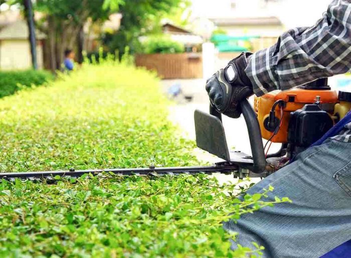 Trimming & Maintenance Canberra