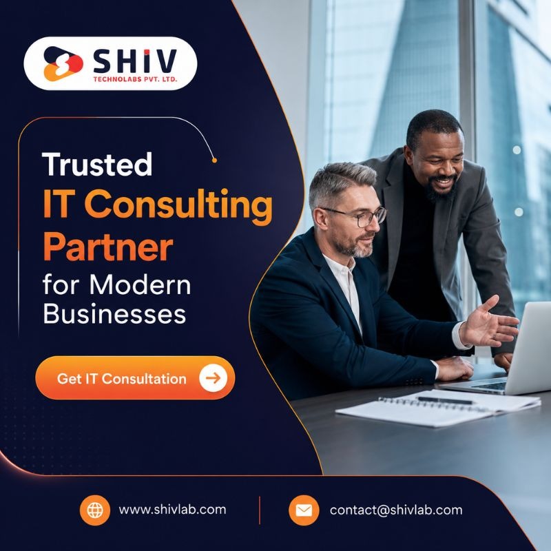 Professional IT Consulting Services by Shiv Technolabs
